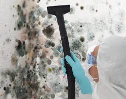 Best Mold Prevention Services in Walcott, IA